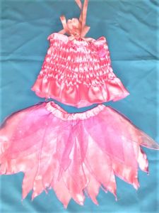 Kids Costumes to Hire - Pink Fairy Top & Skirt - GIRL
